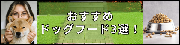 おすすめドッグフード３選のご紹介！