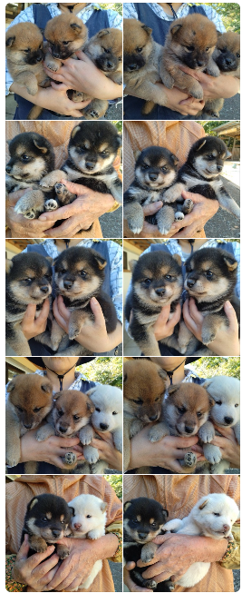 スクリーンショット 2025-11-04 202634