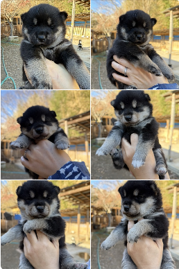 スクリーンショット 2025-12-11 161443