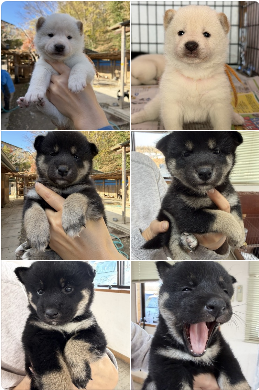 スクリーンショット 2025-12-09 191423