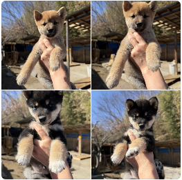 スクリーンショット 2026-02-23 132853